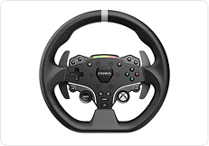 RACING WHEEL